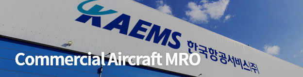 Commercial Aircraft MRO