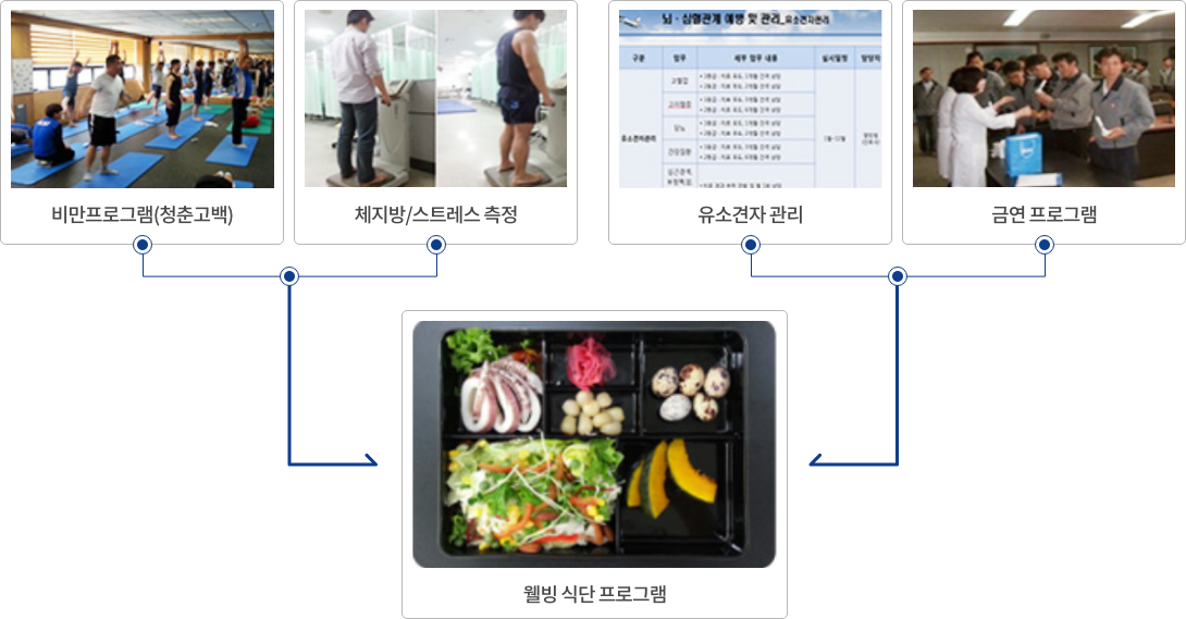 비만프로그램(청춘고백), 체지방/스트레스 측정, 유소견자관리, 금연프로그램, 웰빙식단프로그램