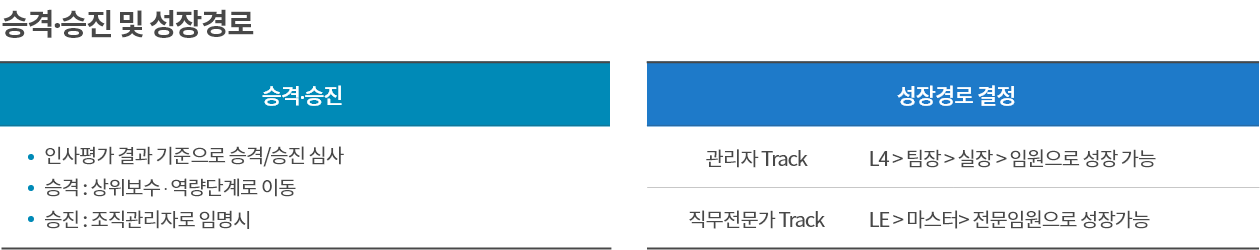 승격∙승진 및 성장경로